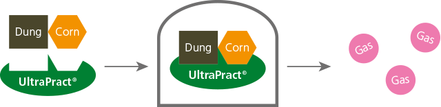 Infografik Biogasprozess mit UltraPract®
